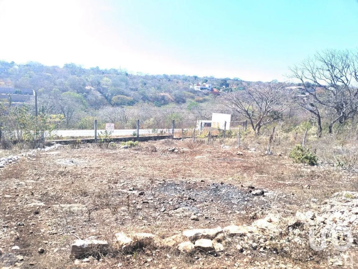 Terreno en Venta en El Caracol, Berriozábal, Chiapas | NEX-229760 | iad México | Foto 4 de 4