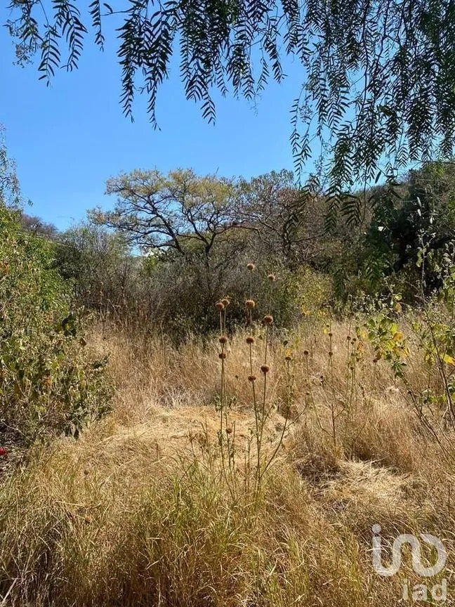 Terreno en Venta en Vista Real y Country Club, Corregidora, Querétaro | NEX-278582 | iad México | Foto 13 de 13