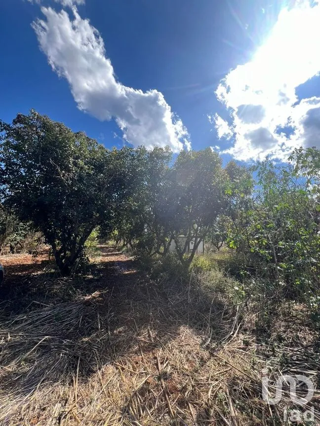 Terreno en Venta en Antonio Escobedo, San Juanito de Escobedo, Jalisco | NEX-227001 | iad México | Foto 12 de 15