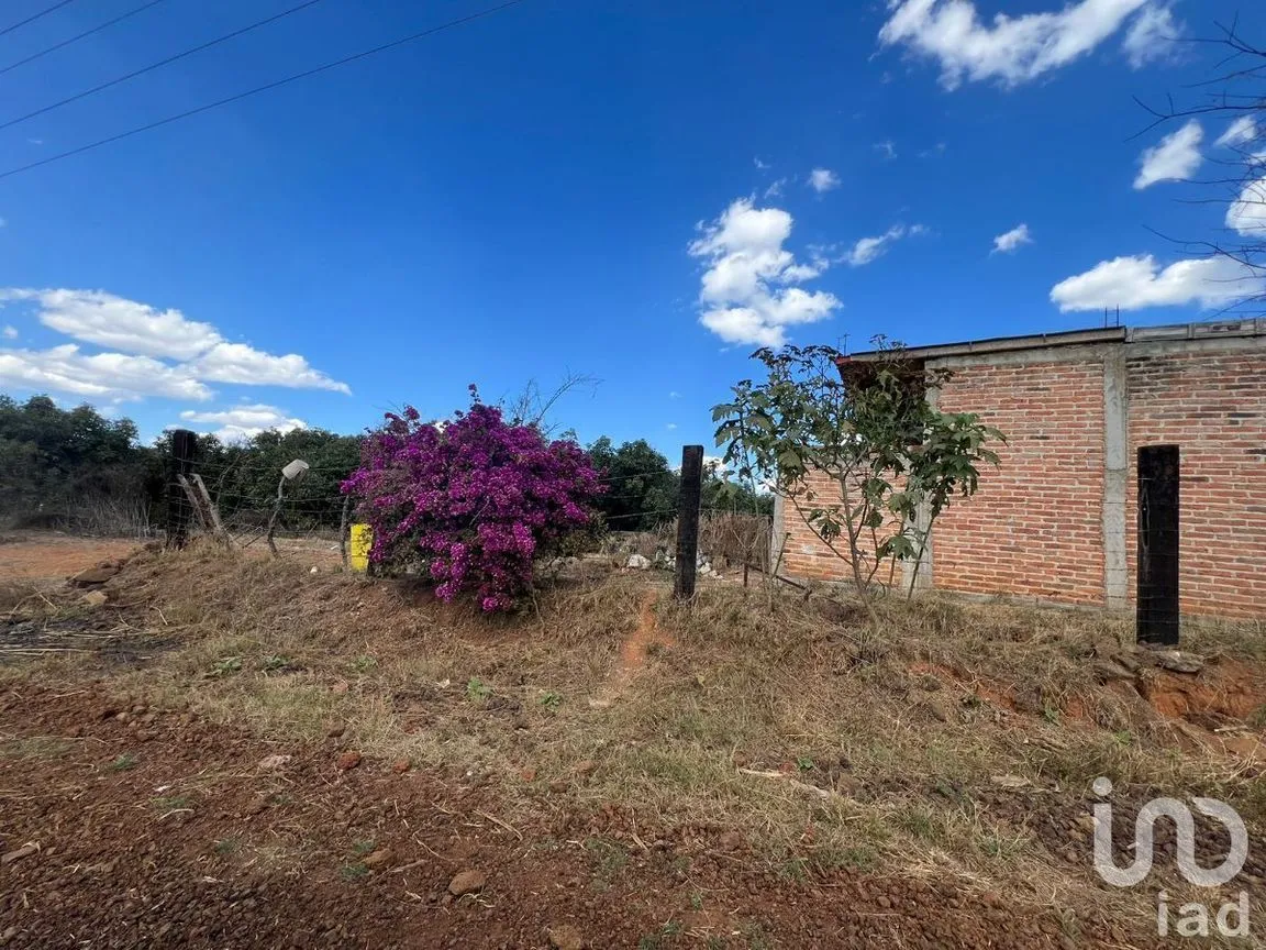 Terreno en Venta en Antonio Escobedo, San Juanito de Escobedo, Jalisco | NEX-227001 | iad México | Foto 13 de 15