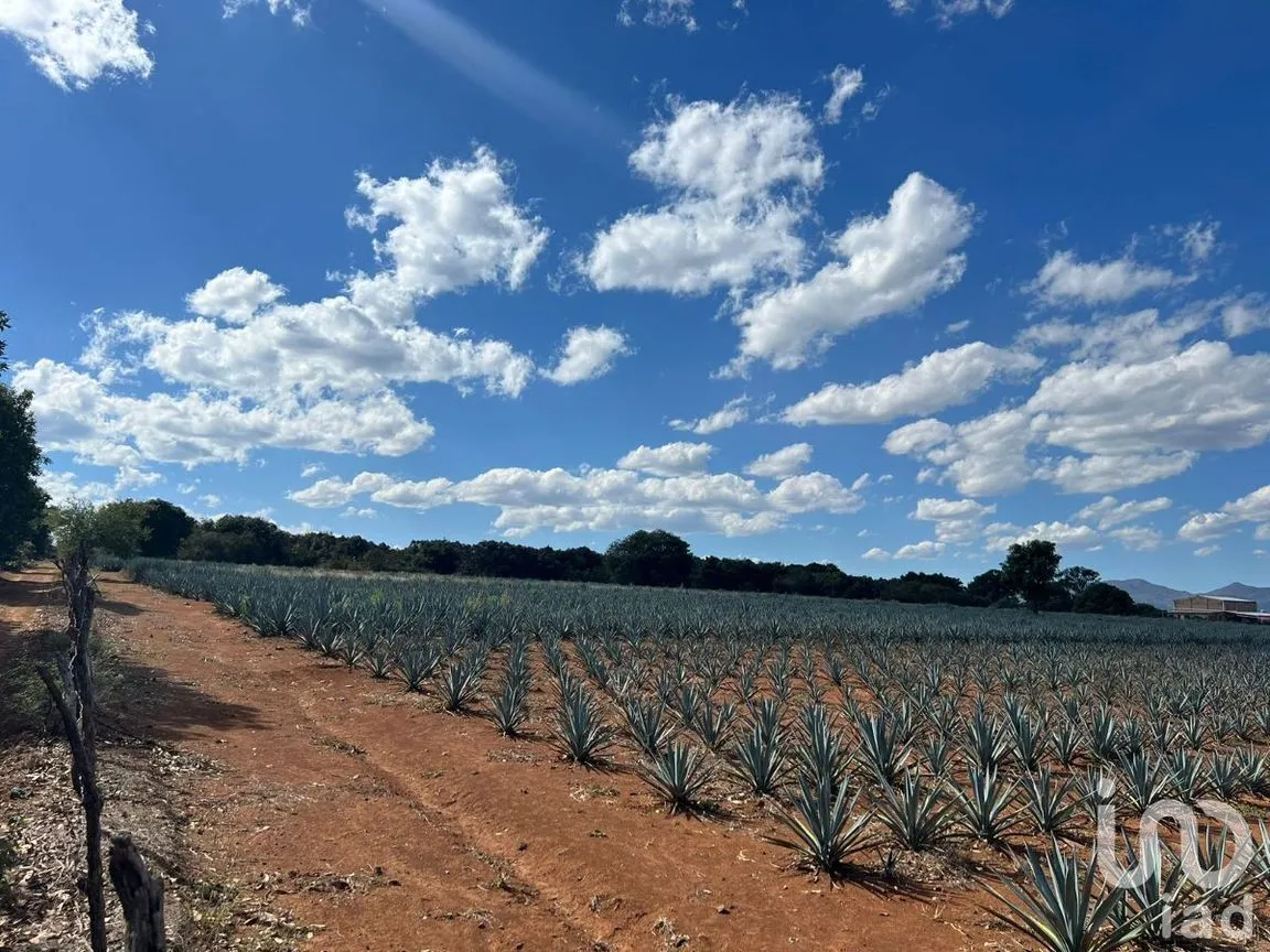 Terreno en Venta en Antonio Escobedo, San Juanito de Escobedo, Jalisco | NEX-227001 | iad México | Foto 3 de 15