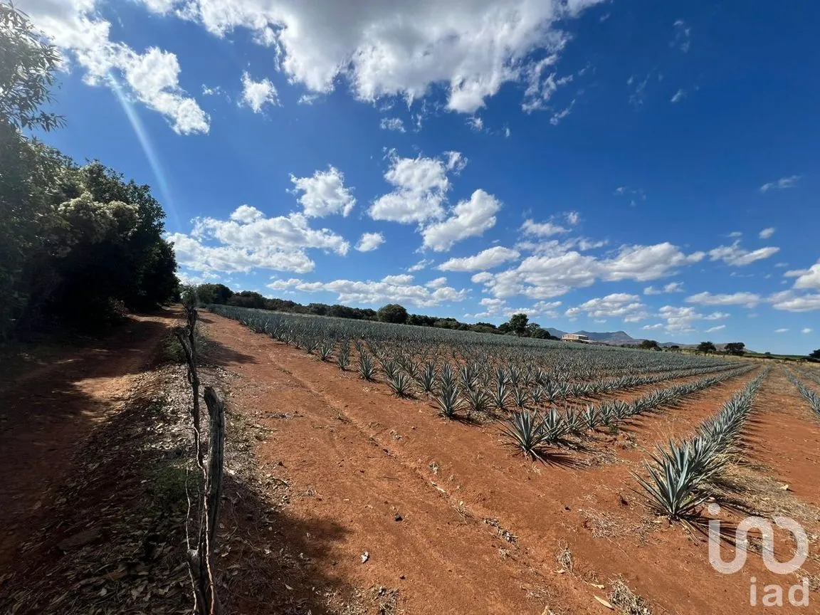 Terreno en Venta en Antonio Escobedo, San Juanito de Escobedo, Jalisco | NEX-227001 | iad México | Foto 4 de 15