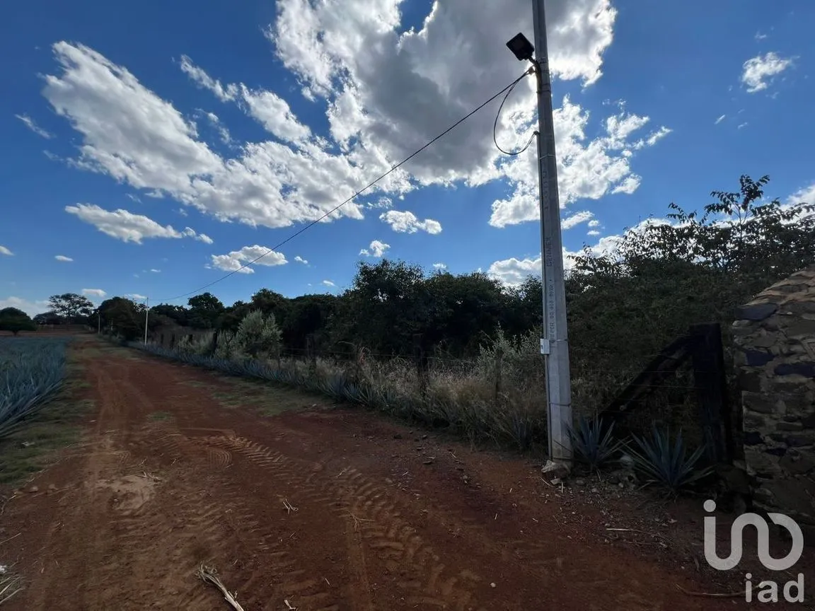 Terreno en Venta en Antonio Escobedo, San Juanito de Escobedo, Jalisco | NEX-227001 | iad México | Foto 5 de 15