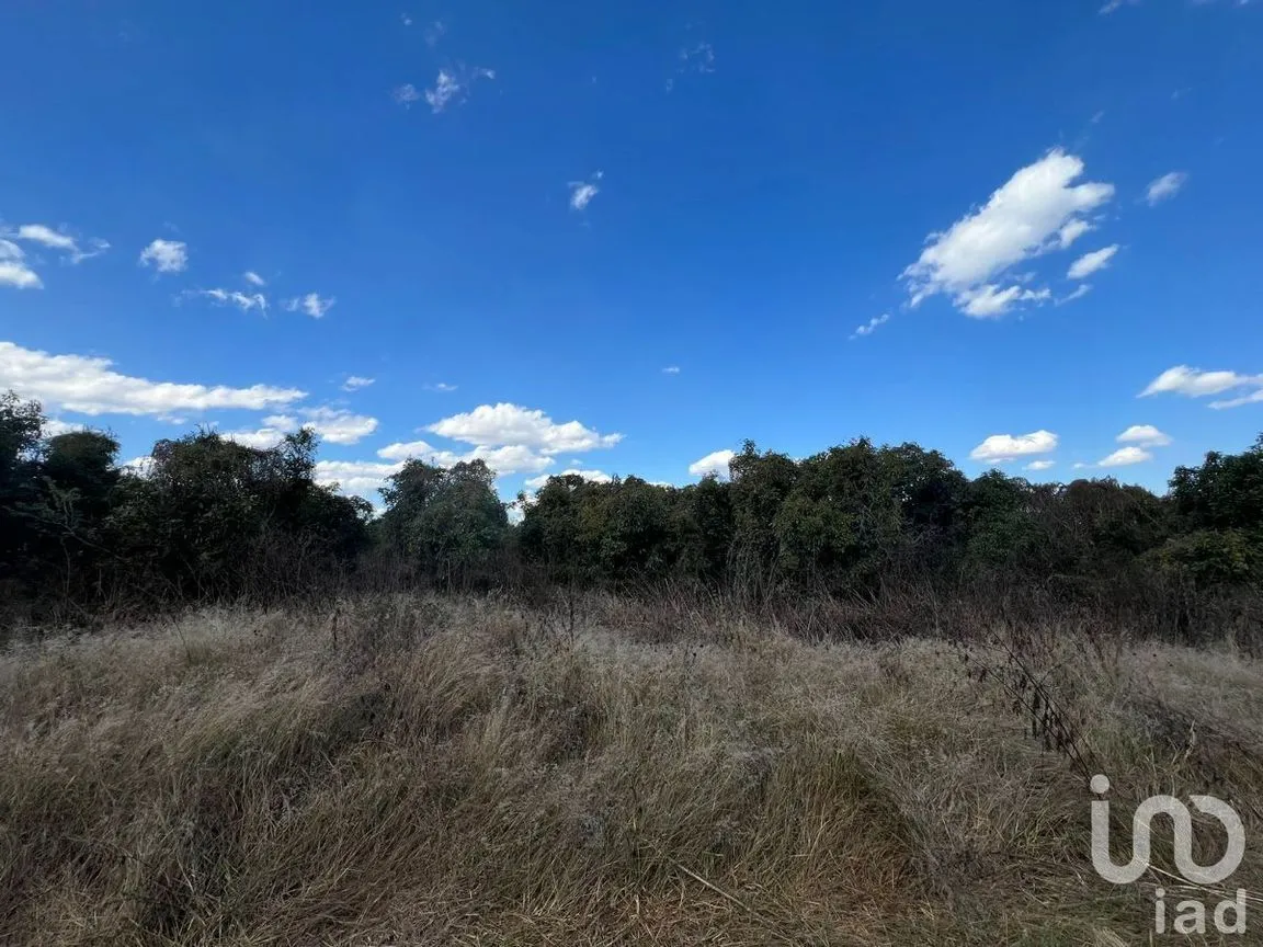 Terreno en Venta en Antonio Escobedo, San Juanito de Escobedo, Jalisco | NEX-227001 | iad México | Foto 6 de 15