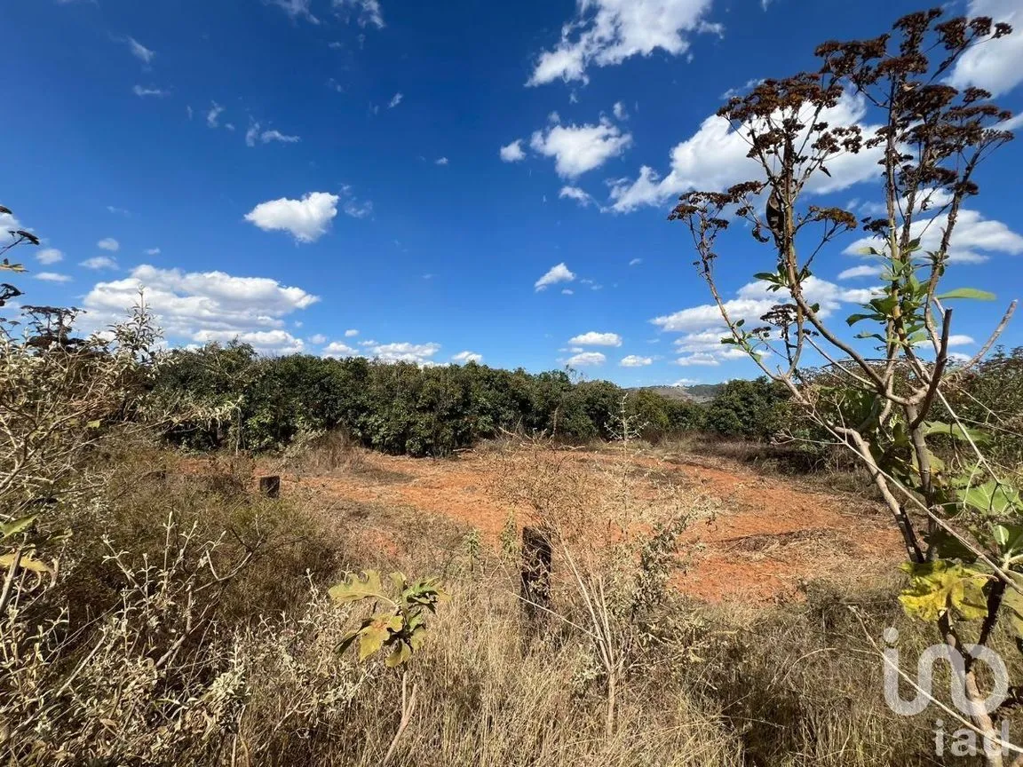 Terreno en Venta en Antonio Escobedo, San Juanito de Escobedo, Jalisco | NEX-227001 | iad México | Foto 10 de 15