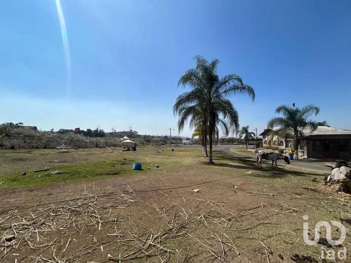 Terreno en Venta en Campo Lago, Zapopan, Jalisco | NEX-232144 | iad México | Foto 8 de 13