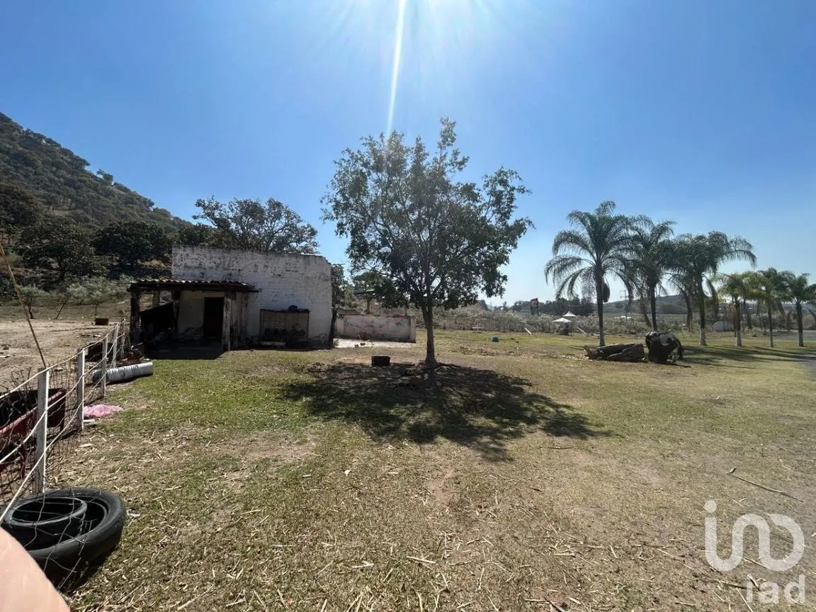 Terreno en Venta en Campo Lago, Zapopan, Jalisco | NEX-232144 | iad México | Foto 10 de 13