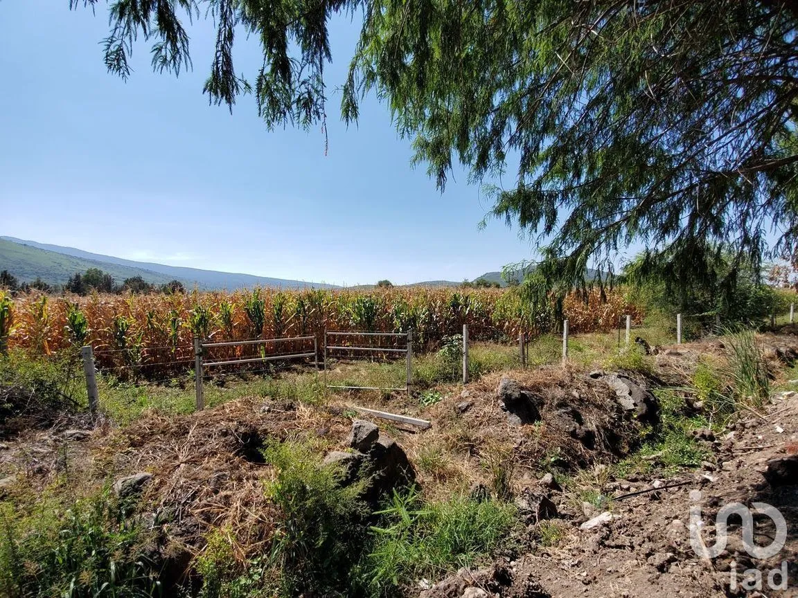 Terreno en Venta en Valle de Tlajomulco, Tlajomulco de Zúñiga, Jalisco | NEX-278910 | iad México | Foto 3 de 8