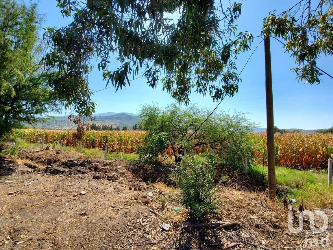 Terreno en Venta en Valle de Tlajomulco, Tlajomulco de Zúñiga, Jalisco | NEX-278910 | iad México | Foto 4 de 8