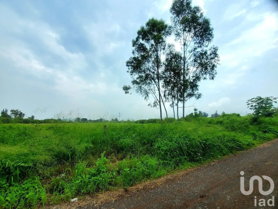 Terreno en Venta en Santa Cruz Del Valle, Tlajomulco de Zúñiga, Jalisco | NEX-278911 | iad México | Foto 11 de 14