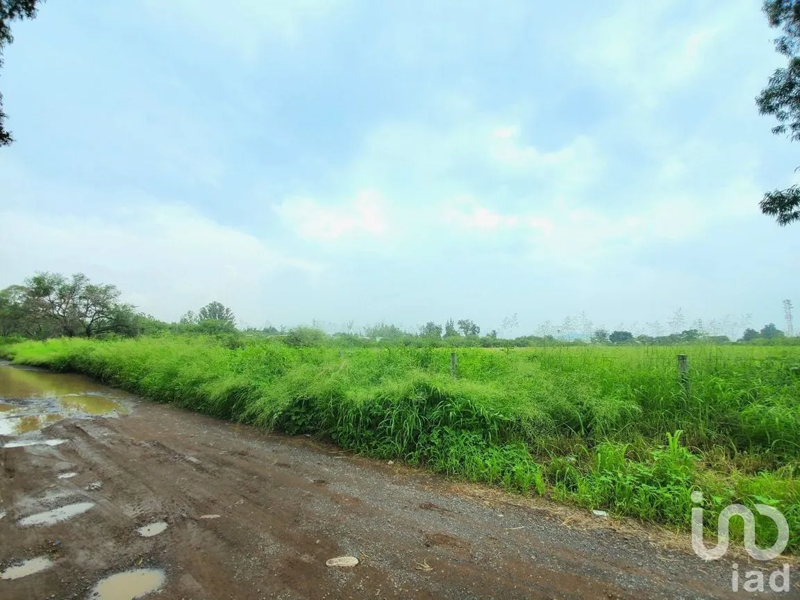 Terreno en Venta en Santa Cruz Del Valle, Tlajomulco de Zúñiga, Jalisco | NEX-278911 | iad México | Foto 12 de 14