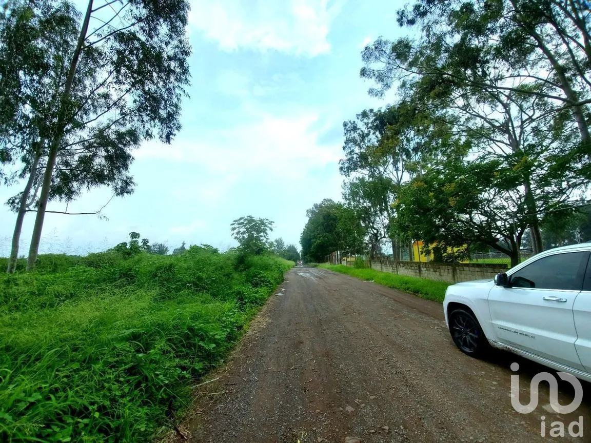 Terreno en Venta en Santa Cruz Del Valle, Tlajomulco de Zúñiga, Jalisco | NEX-278911 | iad México | Foto 14 de 14