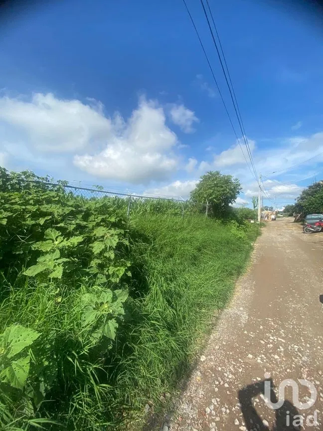 Terreno en Venta en Nextipac, Zapopan, Jalisco | NEX-282114 | iad México | Foto 10 de 12