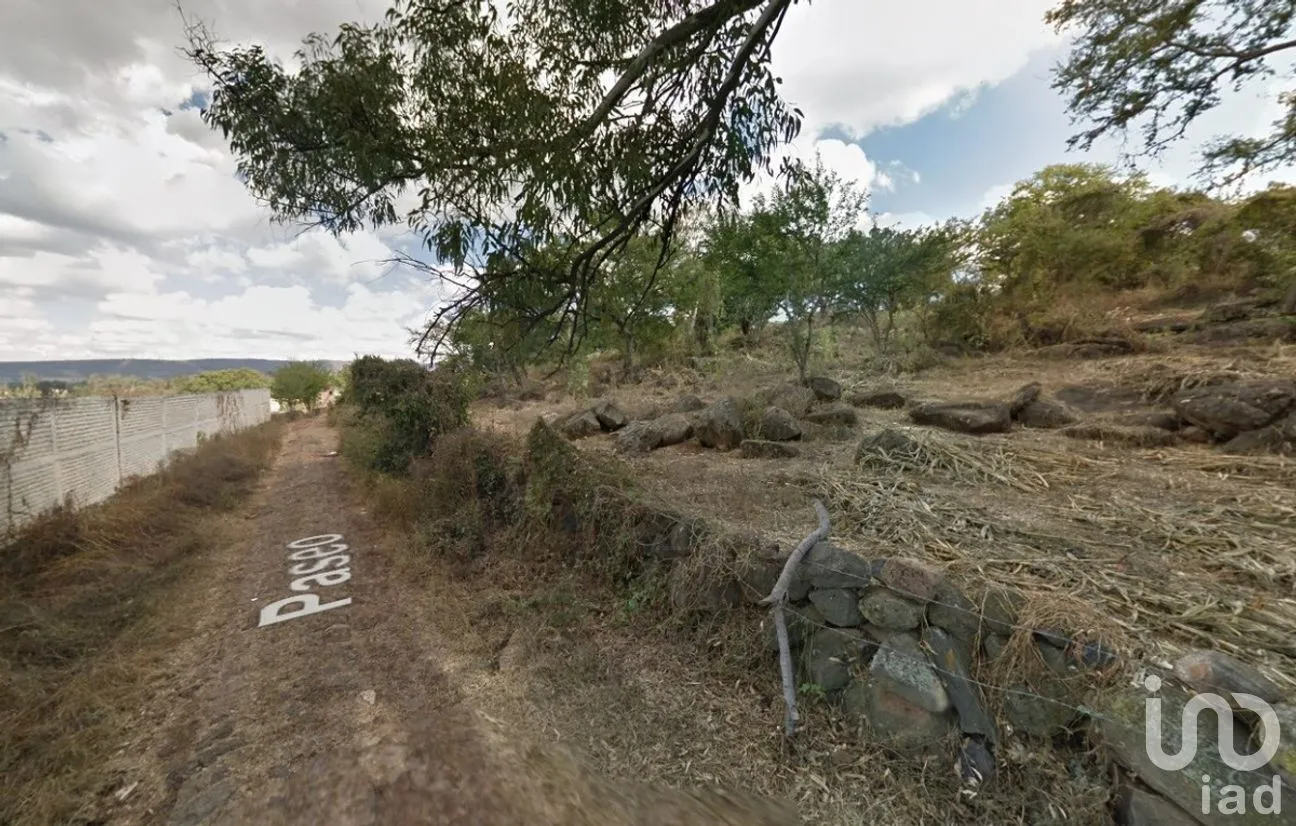 Terreno en Venta en Santa Fe, Zapotlanejo, Jalisco | NEX-282118 | iad México | Foto 4 de 6