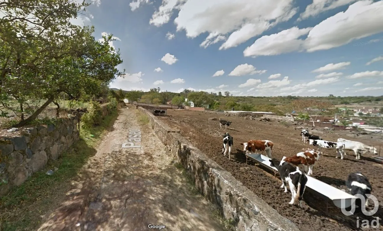 Terreno en Venta en Santa Fe, Zapotlanejo, Jalisco | NEX-282118 | iad México | Foto 6 de 6