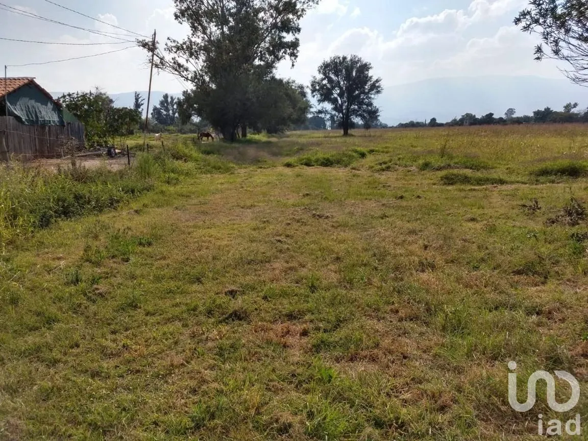 Terreno en Venta en Cajititlán, Tlajomulco de Zúñiga, Jalisco | NEX-289393 | iad México | Foto 14 de 15