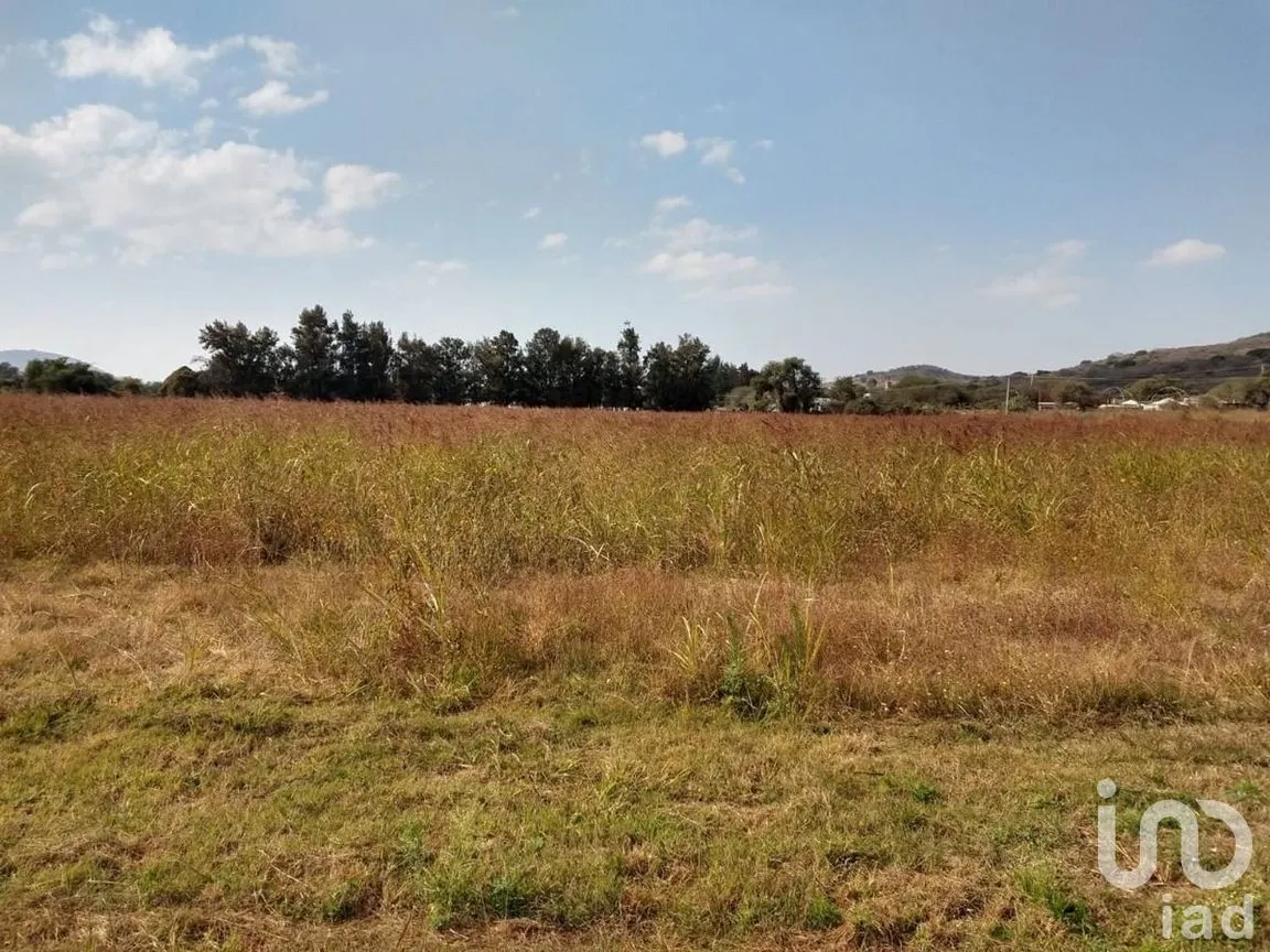 Terreno en Venta en Cajititlán, Tlajomulco de Zúñiga, Jalisco | NEX-289393 | iad México | Foto 4 de 15