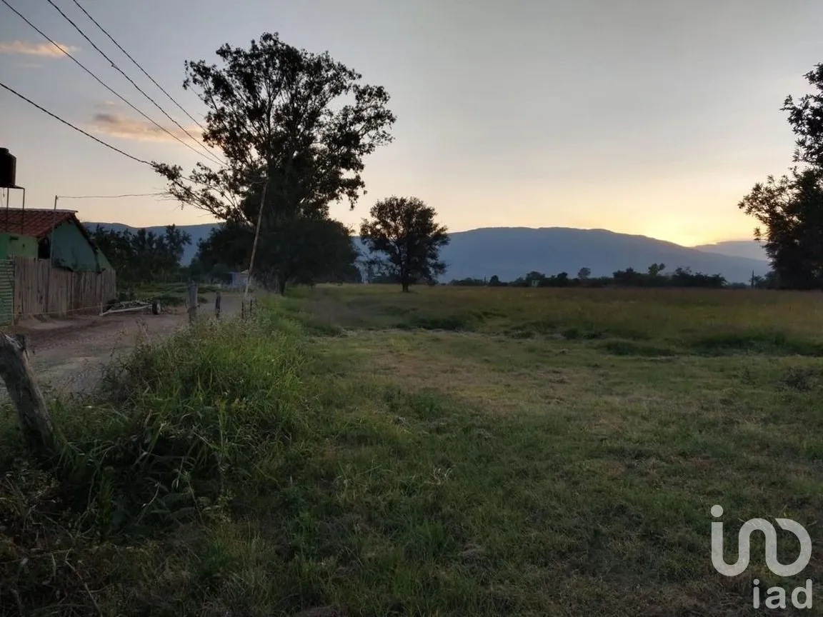 Terreno en Venta en Cajititlán, Tlajomulco de Zúñiga, Jalisco | NEX-289393 | iad México | Foto 8 de 15
