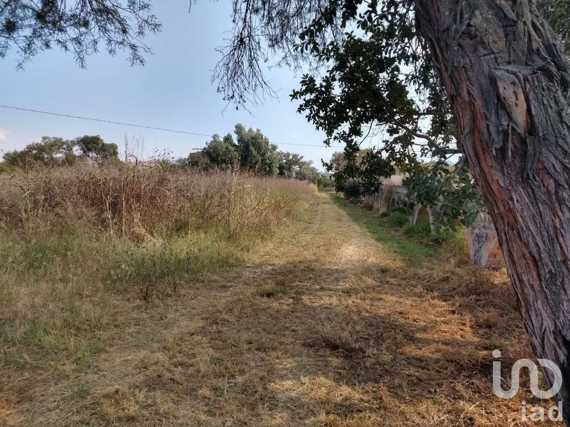 Terreno en Venta en Cajititlán, Tlajomulco de Zúñiga, Jalisco | NEX-289393 | iad México | Foto 9 de 15