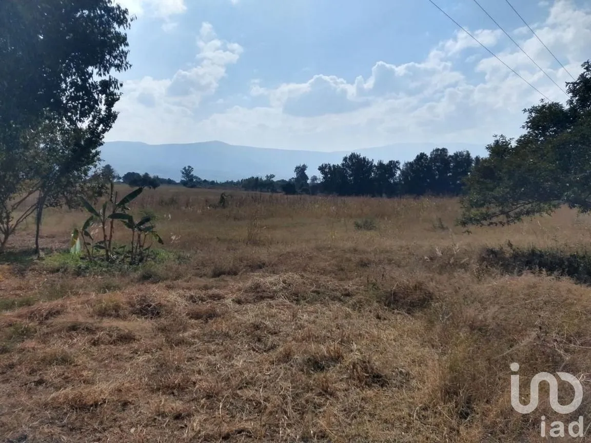 Terreno en Venta en Cajititlán, Tlajomulco de Zúñiga, Jalisco | NEX-289393 | iad México | Foto 10 de 15