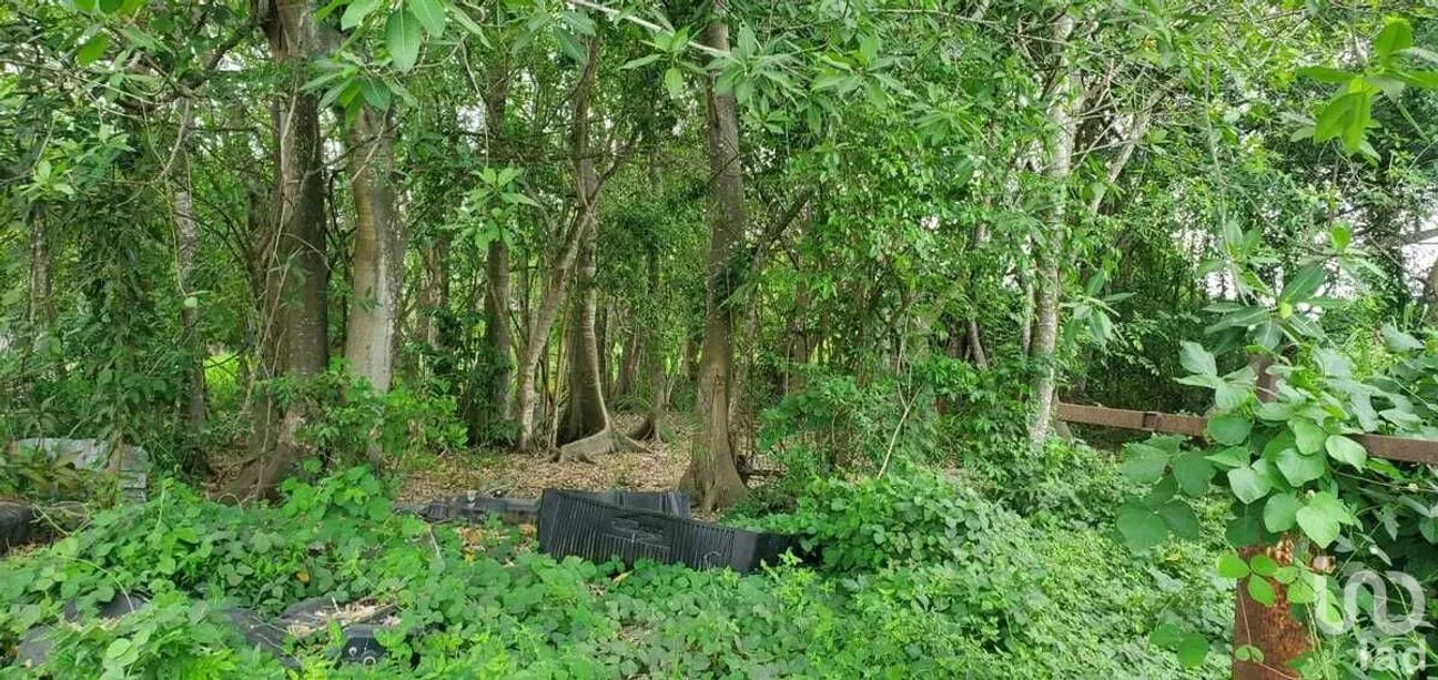 Terreno en Venta en Rincón de Guayabitos, Compostela, Nayarit | NEX-226724 | iad México | Foto 20 de 39
