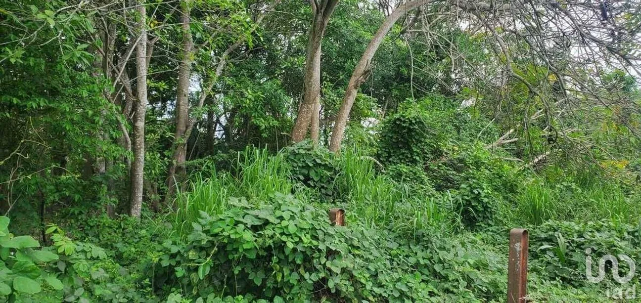 Terreno en Venta en Rincón de Guayabitos, Compostela, Nayarit | NEX-226724 | iad México | Foto 21 de 39