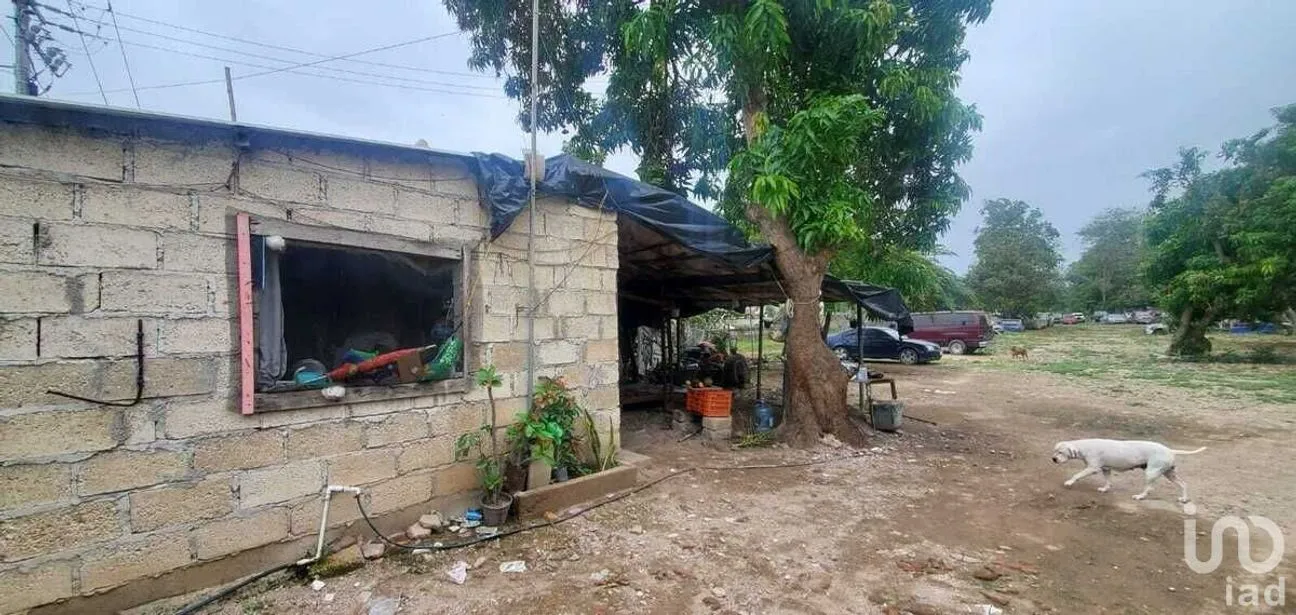 Terreno en Venta en Rincón de Guayabitos, Compostela, Nayarit | NEX-226724 | iad México | Foto 24 de 39