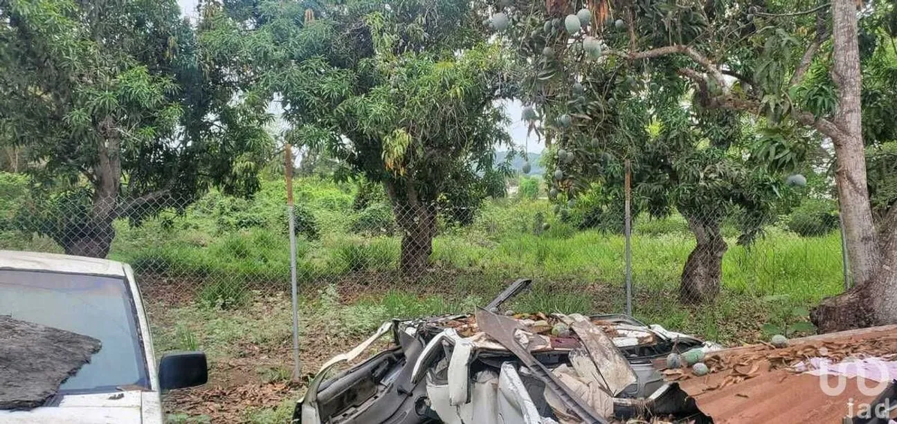 Terreno en Venta en Rincón de Guayabitos, Compostela, Nayarit | NEX-226724 | iad México | Foto 26 de 39