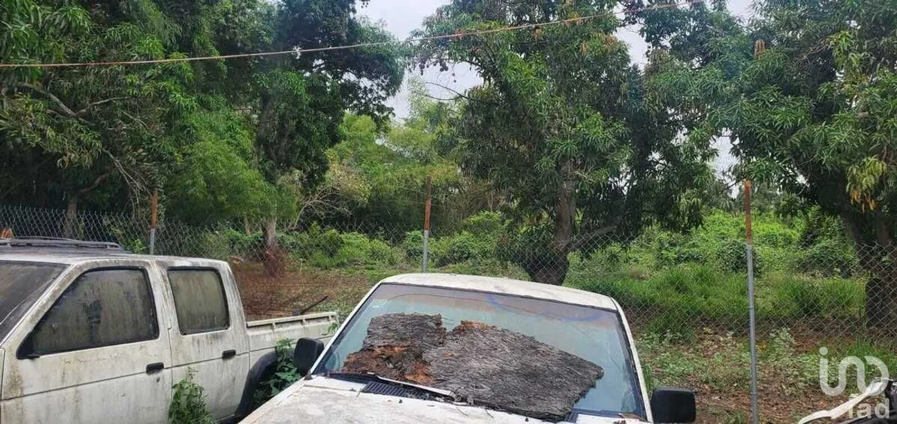 Terreno en Venta en Rincón de Guayabitos, Compostela, Nayarit | NEX-226724 | iad México | Foto 27 de 39