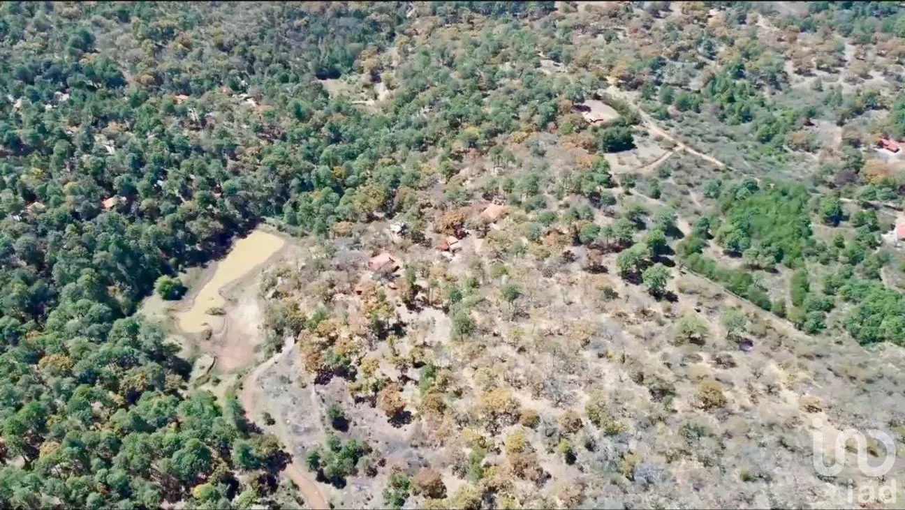 Terreno en Venta en Los Espinos, Tapalpa, Jalisco | NEX-228234 | iad México | Foto 13 de 22