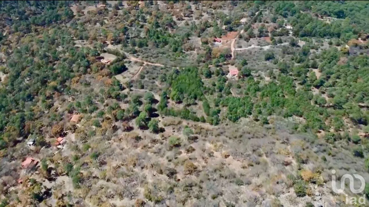 Terreno en Venta en Los Espinos, Tapalpa, Jalisco | NEX-228234 | iad México | Foto 14 de 22
