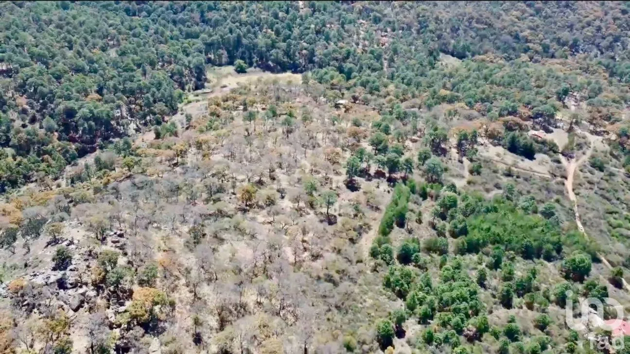 Terreno en Venta en Los Espinos, Tapalpa, Jalisco | NEX-228234 | iad México | Foto 6 de 22