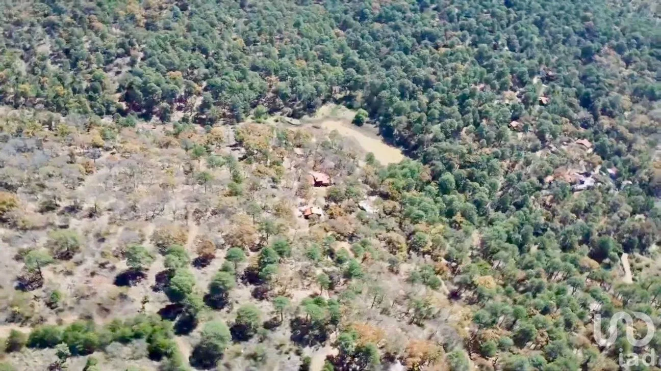 Terreno en Venta en Los Espinos, Tapalpa, Jalisco | NEX-228234 | iad México | Foto 7 de 22
