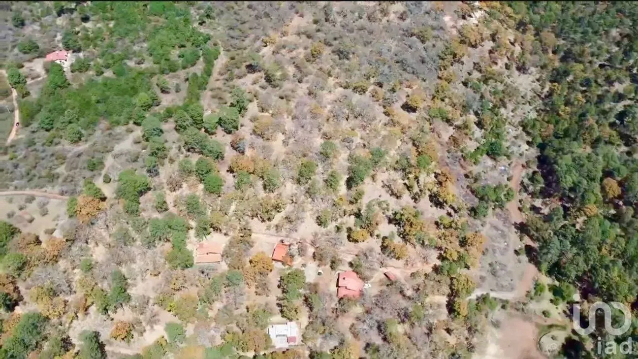 Terreno en Venta en Los Espinos, Tapalpa, Jalisco | NEX-228234 | iad México | Foto 8 de 22