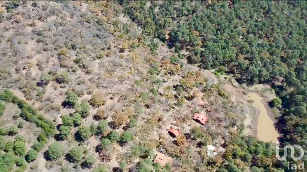 Terreno en Venta en Los Espinos, Tapalpa, Jalisco | NEX-228234 | iad México | Foto 9 de 22