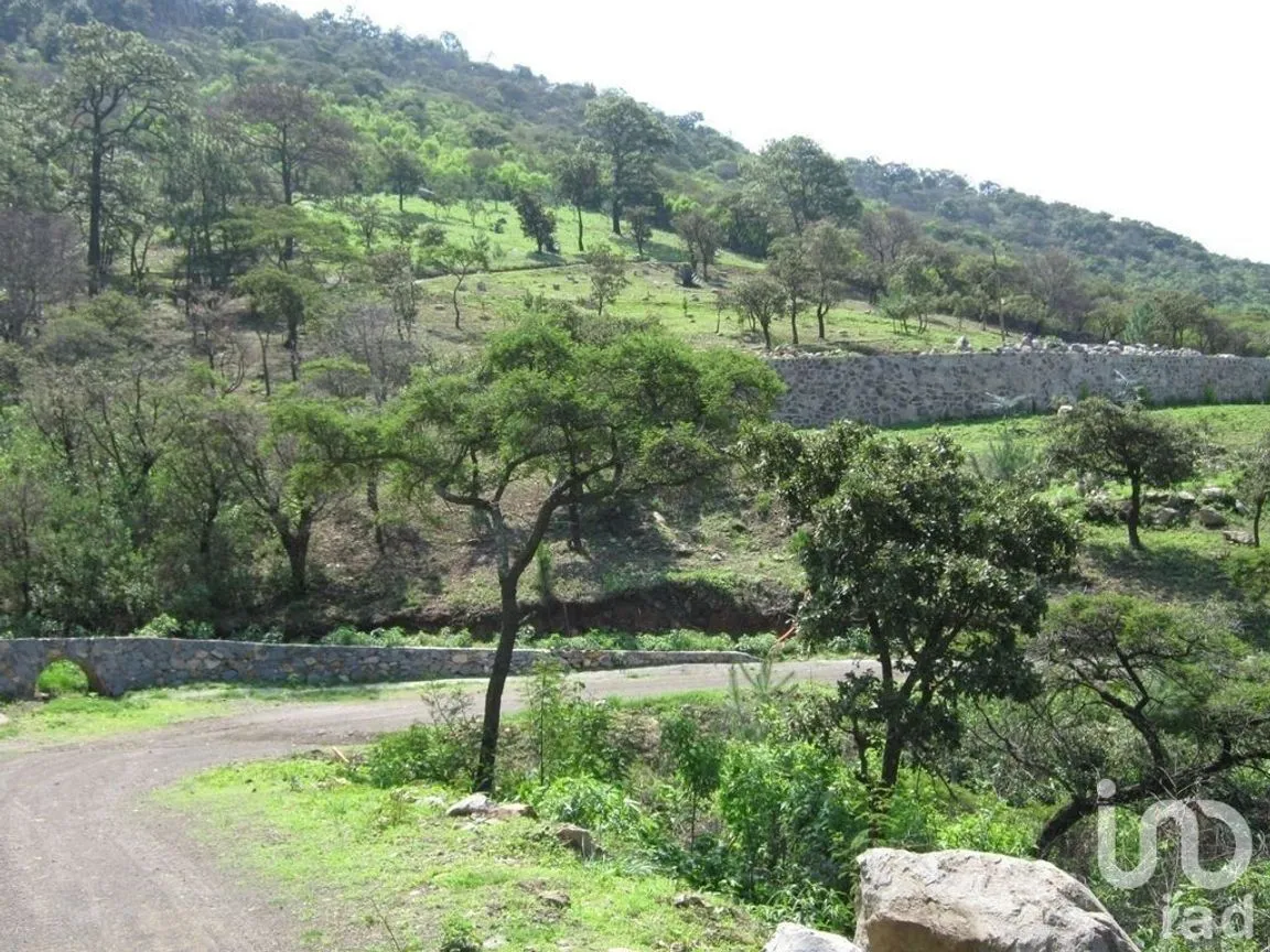 Terreno en Venta en Tapalpa, Tapalpa, Jalisco | NEX-228239 | iad México | Foto 9 de 12