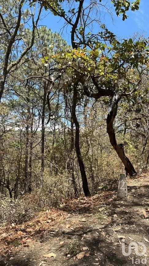 Terreno en Venta en Tapalpa, Tapalpa, Jalisco | NEX-228239 | iad México | Foto 10 de 12