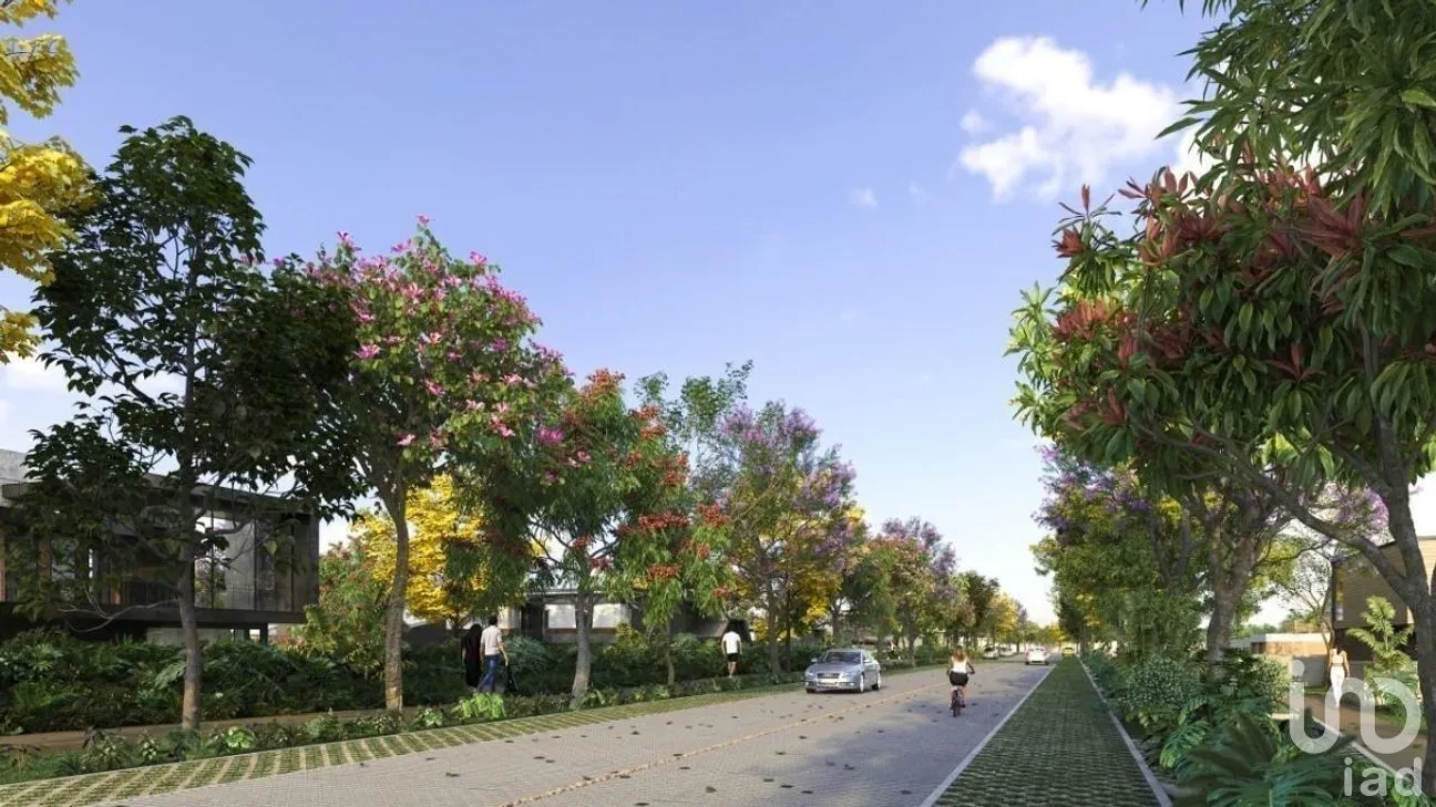 Terreno en Venta en Tamanché, Mérida, Yucatán | NEX-230218 | iad México | Foto 5 de 12