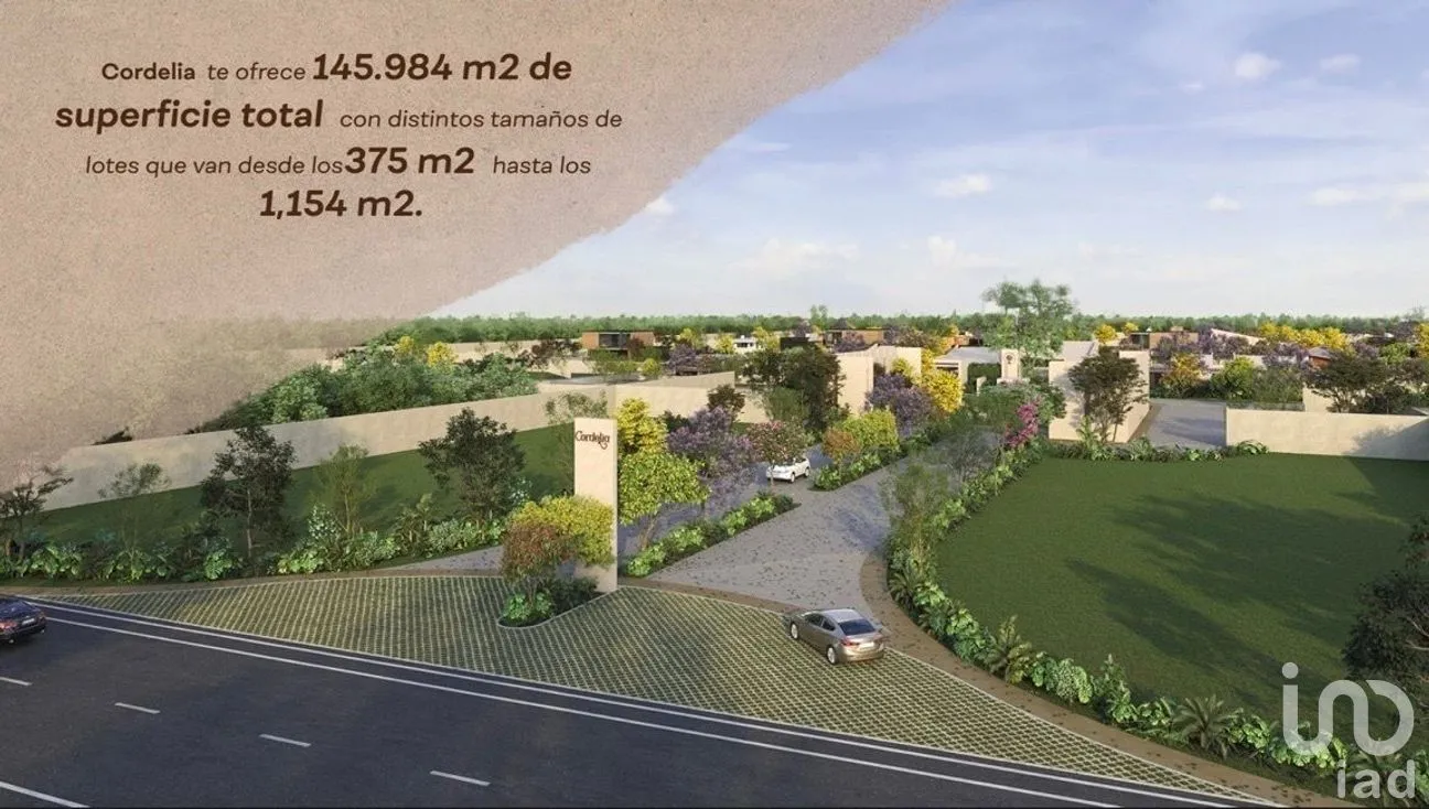 Terreno en Venta en Tamanché, Mérida, Yucatán | NEX-230219 | iad México | Foto 4 de 11