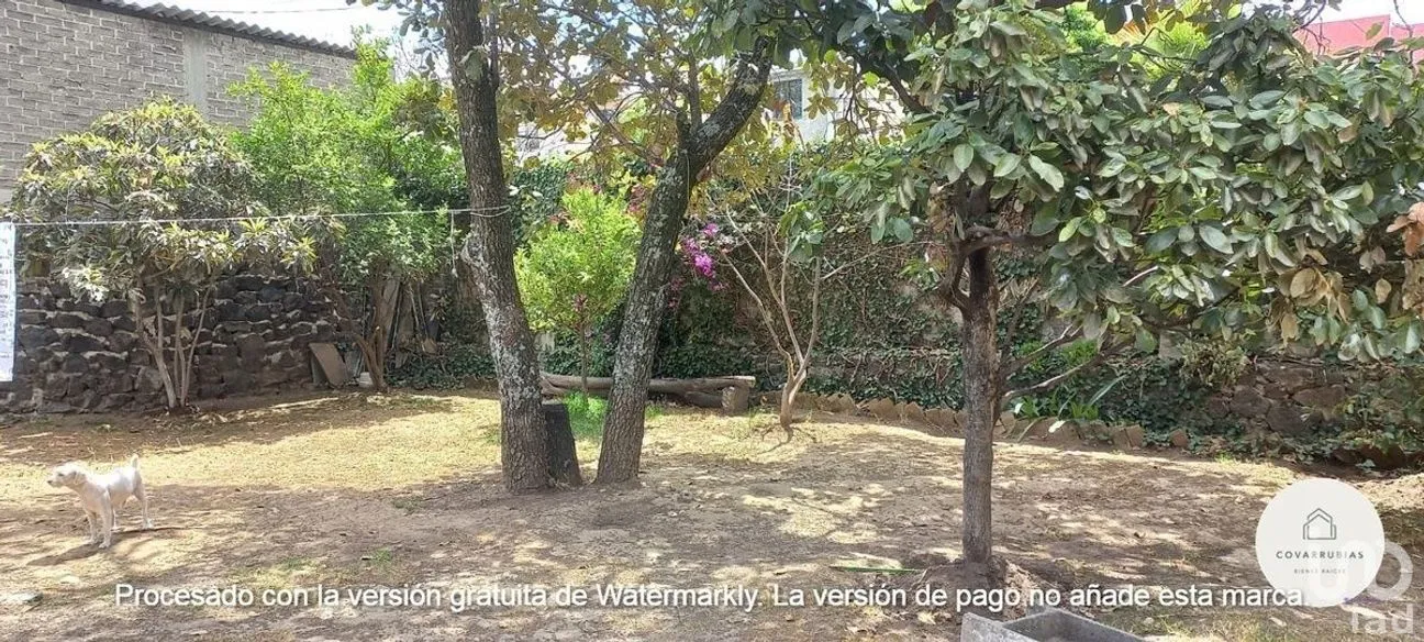 Terreno en Venta en Pedregal de San Nicolás 2A Sección, Tlalpan, Ciudad de México | NEX-231679 | iad México | Foto 7 de 8