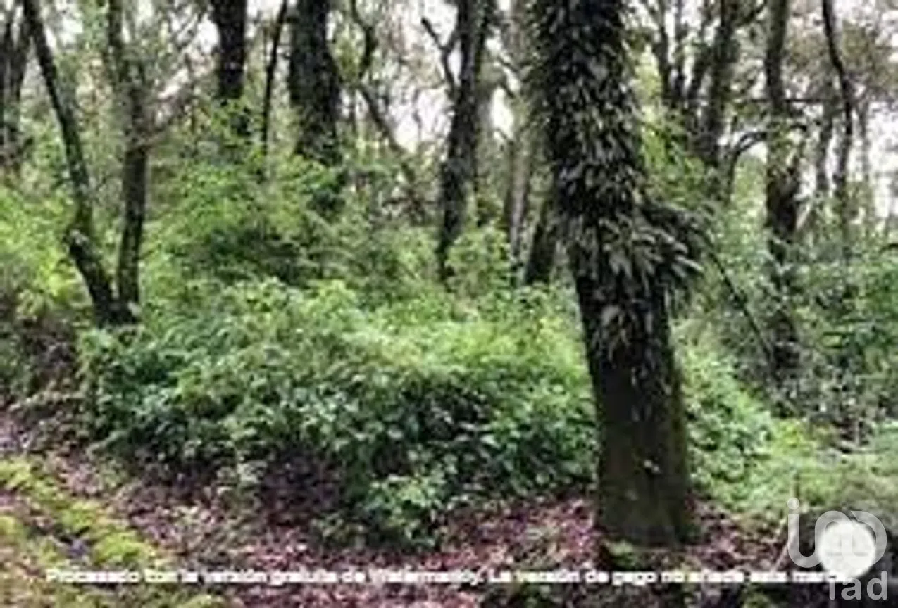 Terreno en Venta en Tlalpuente, Tlalpan, Ciudad de México | NEX-282860 | iad México | Foto 8 de 11