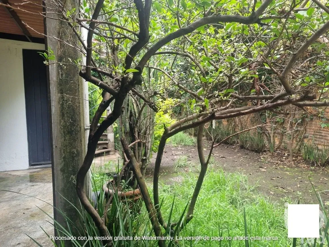 Oficina en Venta en Progreso Tizapan, Álvaro Obregón, Ciudad de México | NEX-282989 | iad México | Foto 12 de 17