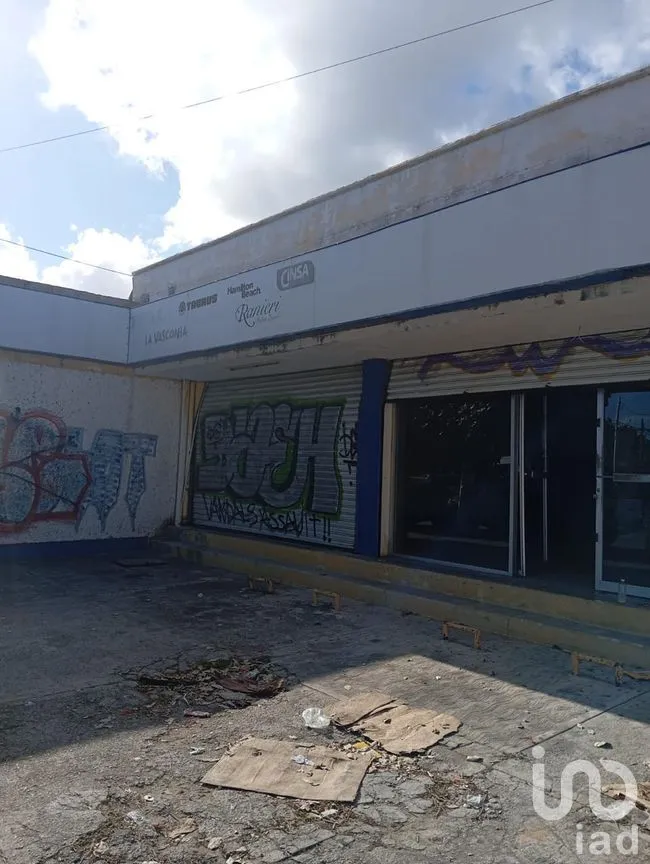 Local en Renta en Cancún Centro, Benito Juárez, Quintana Roo | NEX-269902 | iad México | Foto 5 de 6