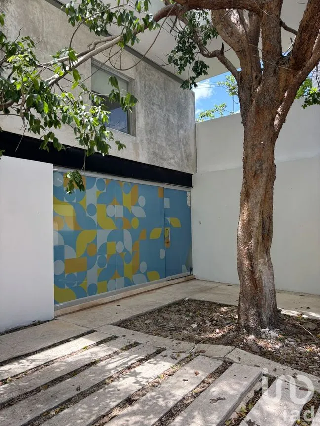 Oficina en Renta en México Norte, Mérida, Yucatán | NEX-272698 | iad México | Foto 4 de 11