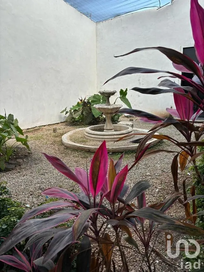 Casa en Renta en Mérida Centro, Mérida, Yucatán | NEX-274641 | iad México | Foto 5 de 9