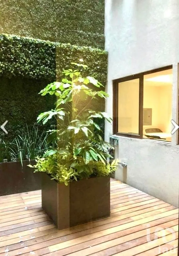 Departamento en Renta en Polanco I Sección, Miguel Hidalgo, Ciudad de México | NEX-230101 | iad México | Foto 6 de 15