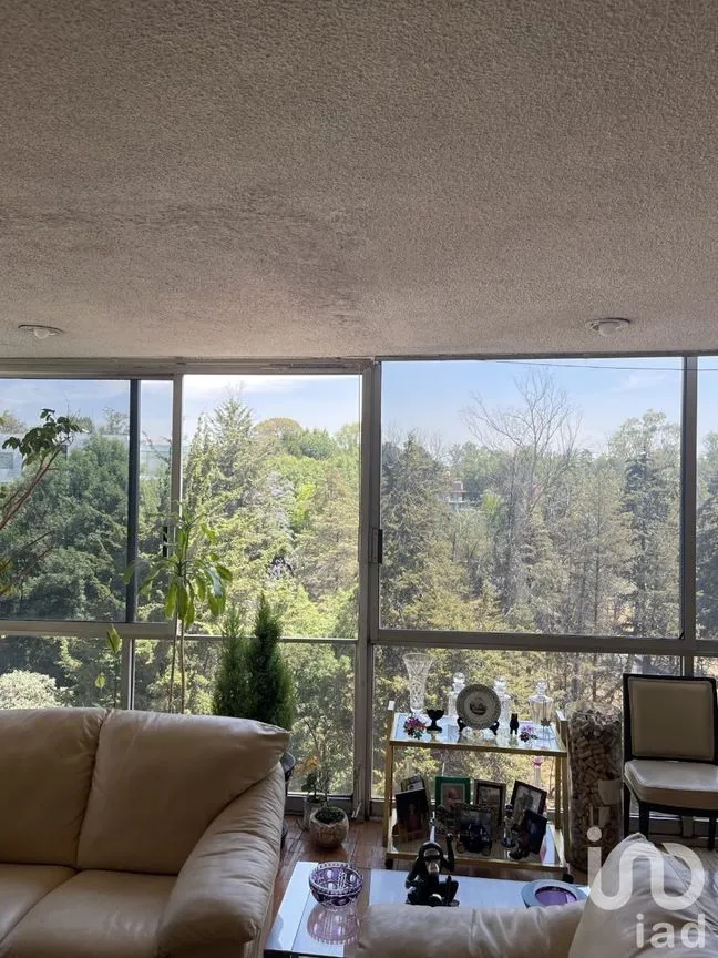 Departamento en Venta en Lomas Altas, Miguel Hidalgo, Ciudad de México | NEX-230103 | iad México | Foto 1 de 9