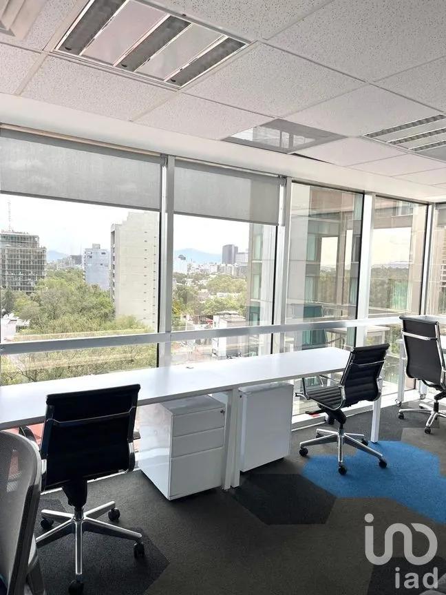 Oficina en Renta en Polanco I Sección, Miguel Hidalgo, Ciudad de México | NEX-271803 | iad México | Foto 4 de 11