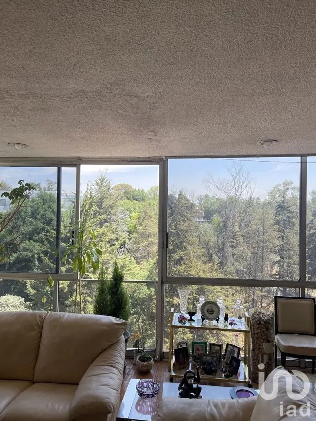 Departamento en Venta en Lomas Altas, Miguel Hidalgo, Ciudad de México | NEX-276614 | iad México | Foto 4 de 9