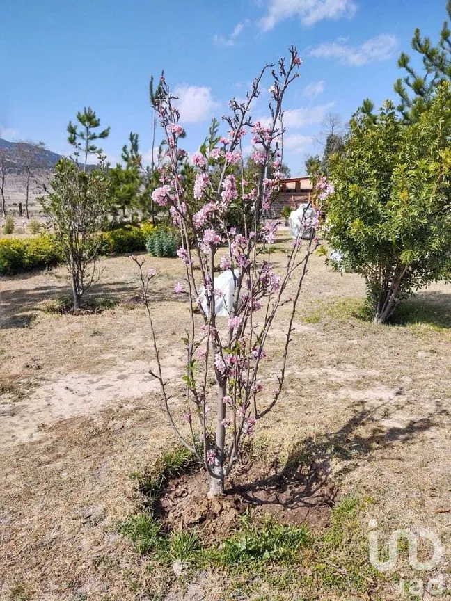 Terreno en Venta en Villa de Arriaga Centro, Villa de Arriaga, San Luis Potosí | NEX-227796 | iad México | Foto 3 de 9